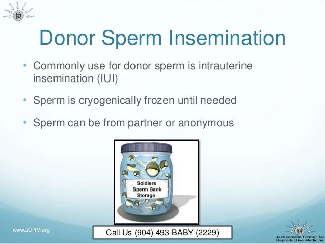 Donate sperm jacksonville Candels in female anus
